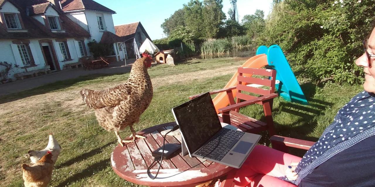Chambre A La Ferme Saint-Martin-des-Champs  Kültér fotó