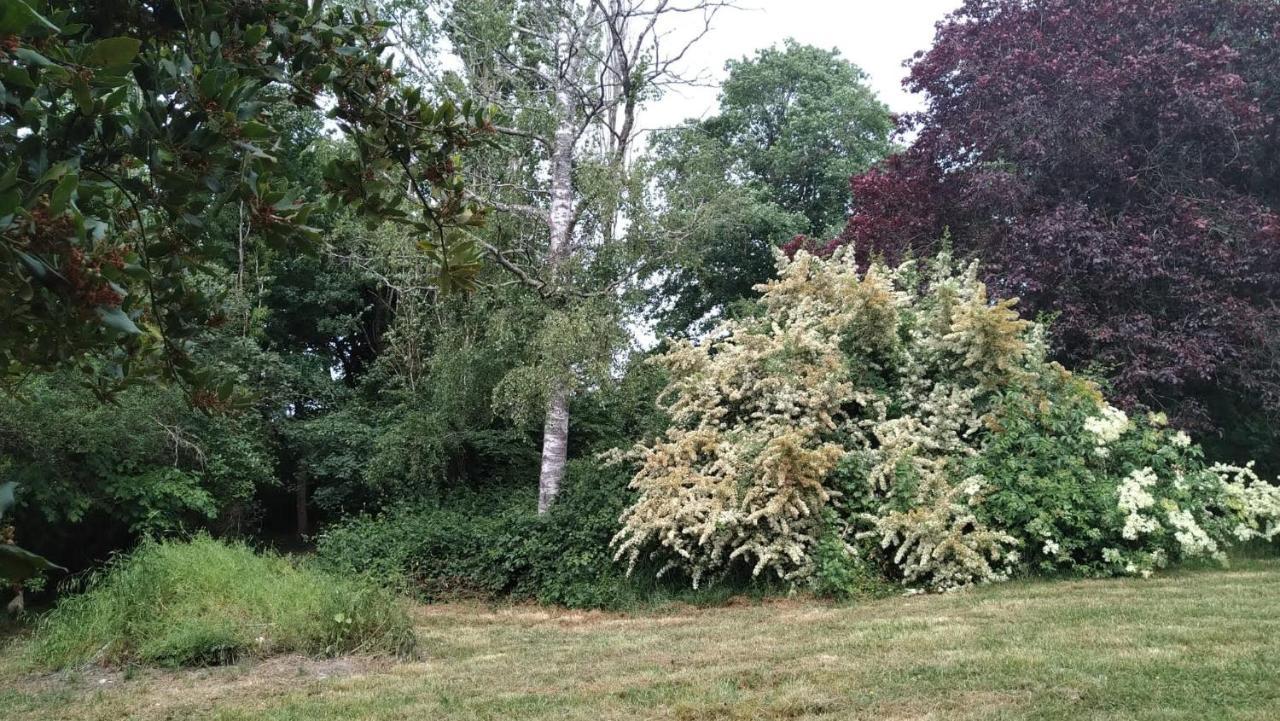 Chambre A La Ferme Saint-Martin-des-Champs  Kültér fotó